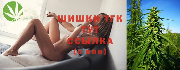 молекула духа Медвежьегорск