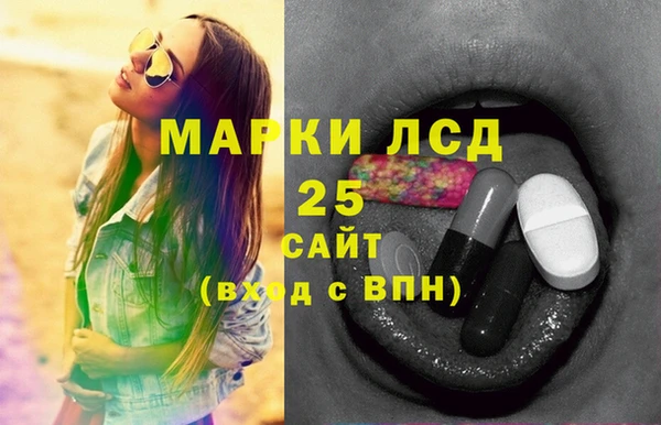 молекула духа Медвежьегорск