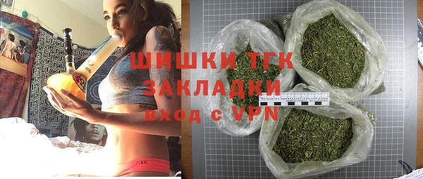 молекула духа Медвежьегорск