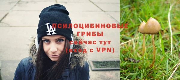 бутират Медногорск