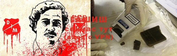 молекула духа Медвежьегорск