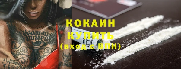 молекула духа Медвежьегорск