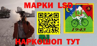 шишки Коммунар