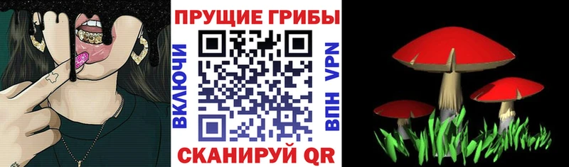 нарко площадка официальный сайт  kraken ТОР  Саратов  Галлюциногенные грибы прущие грибы 