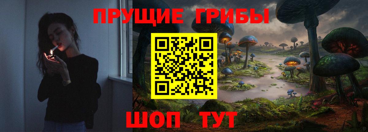 Псилоцибиновые грибы Psilocybe Саратов